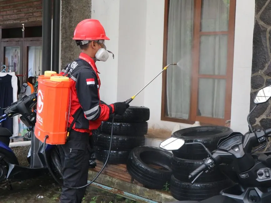 Rodent Trapping & Removal in Northbrook